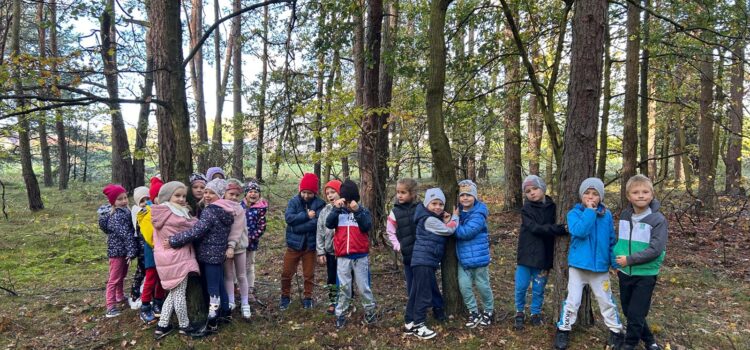 🌳 Dzień Drzewa 🌲 🌳 Dzień Drzewa 🌲